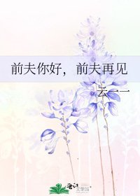 前夫你好，前夫再見